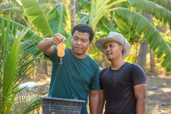Kepala Desa Tembok, Kecamatan Tejakula, Kabupaten Buleleng, Bali, Dewa Komang Yudi Astara (kiri) saat menimbang pupuk didampingi warga Dewa Tomi Wahyudi (kanan). Pertanian menjadi salah satu program padat karya yang dilaksanakan pemerintah desa. Program ini memberi asa bagi warga yang kehilangan mata pencaharian.