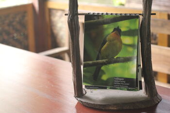Burung Sulingan atau Sikatan Cacing yang jadi target perburuan sekaligus inspirasi nama kopi olahan KTH Wanapaksi (4/3/2021).