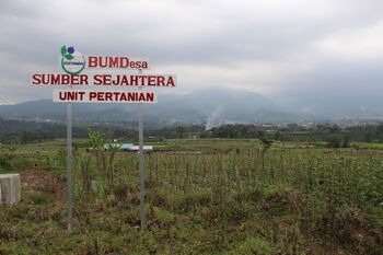 Area pertanian yang dikelola sebagai unit usaha oleh BUMDes Sumber Sejahtera, Desa Pujon Kidul (9/9/2021).